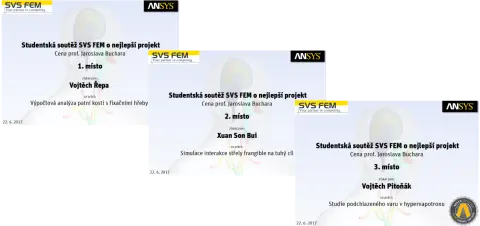 SVS FEM simulace Ansys