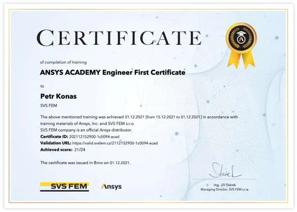 Ansys Academy SVS FEM