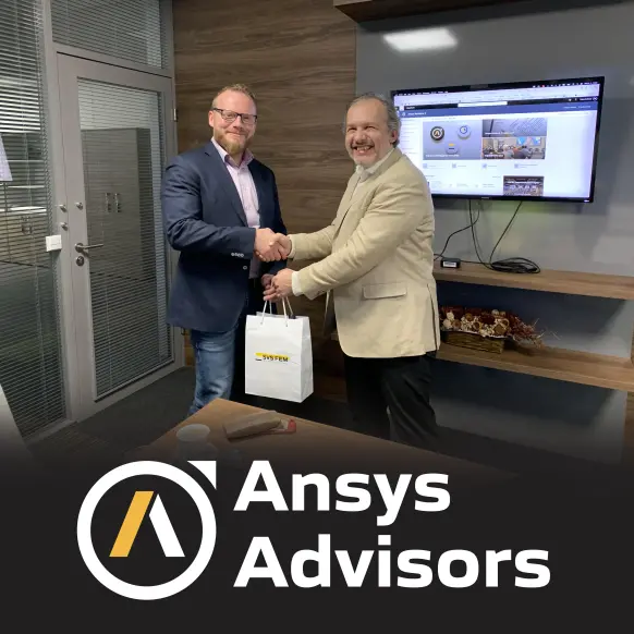 Ansys Advisors