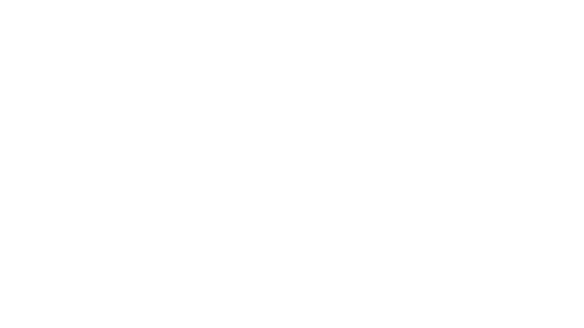 Ansys konference logo