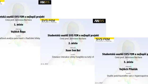 SVS FEM simulace Ansys